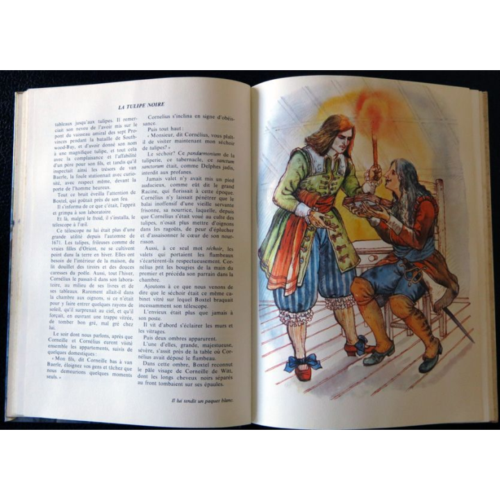 La tulipe noire de Alexandre Dumas aux Editions Hachette - La Galaxie