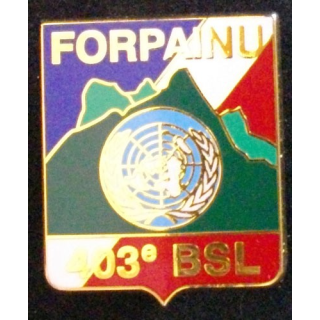 403° BSL : 403° BATAILLON DE SOUTIEN LOGISTIQUE FORPAINU