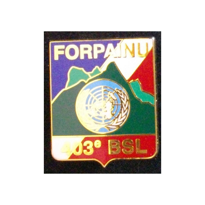 403° BSL : 403° BATAILLON DE SOUTIEN LOGISTIQUE FORPAINU