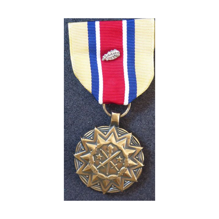 USA : army reserve components achievement medal avec palme