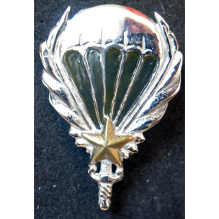 GCMA : insigne du groupement de commandos mixtes aéroportés de fabrication locale peint