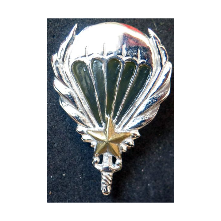 GCMA : insigne du groupement de commandos mixtes aéroportés de fabrication locale peint