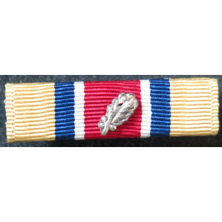 USA : Rappel de la médaille Army Reserve Components Achievement medal