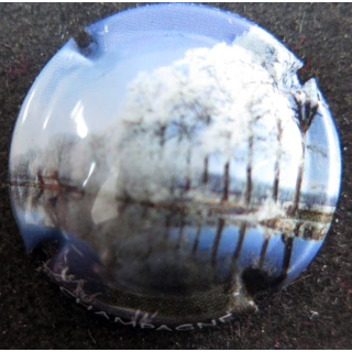 Capsule Muselet de bouteille de champagne GENERIQUE n° 964c Polychrome