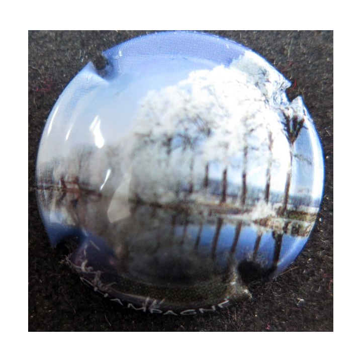 Capsule Muselet de bouteille de champagne GENERIQUE n° 964c Polychrome