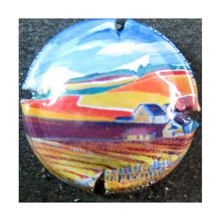Capsule Muselet de bouteille de champagne GÉNÉRIQUE n° 939d