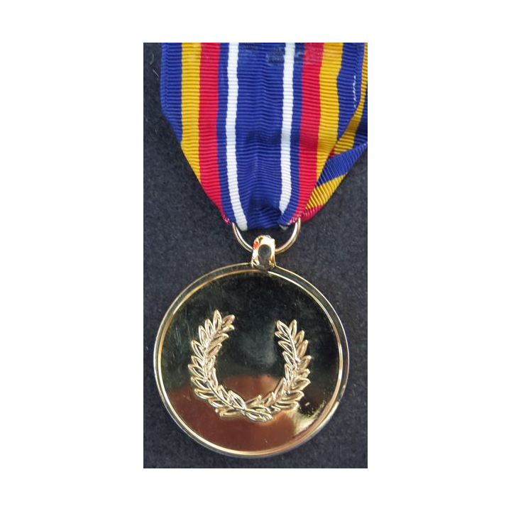: médaille on war on terrorism medal en métal brillant