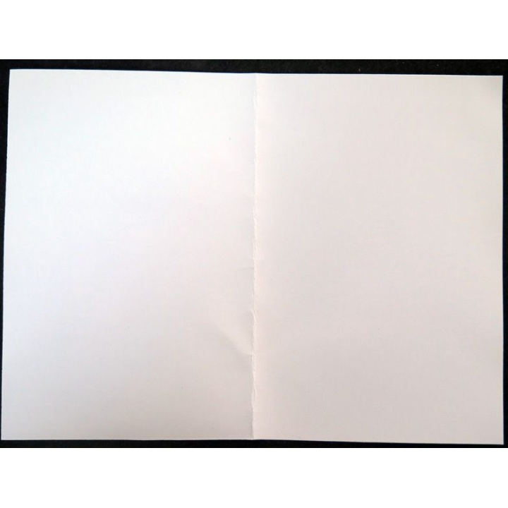 Carte postale de la base aérienne 110 