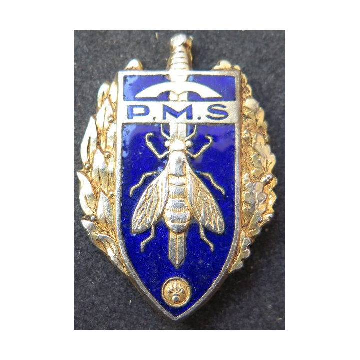 PMS : insigne du brevet de préparation militaire supérieure de fabrication Arthus Bertrand G. 1061 en émail