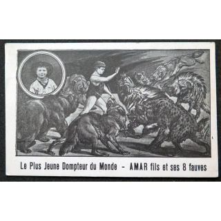 Carte postale Le plus jeune dompteur du monde Amar Fils et ses 8 fauves