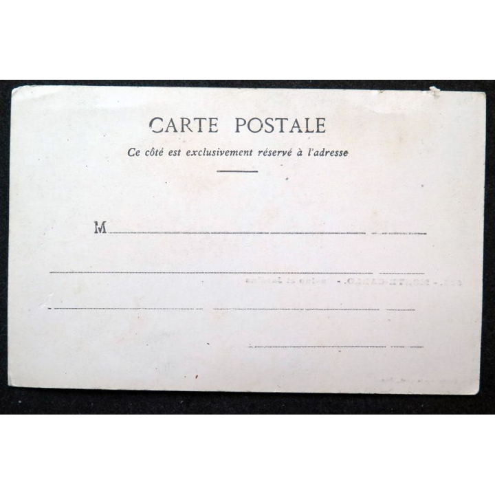 Carte postale Monte Carlo n° 533 Casino et jardins
