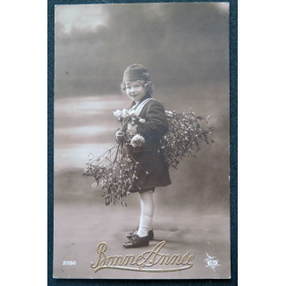 Carte postale n° 2050 De Bonne Année