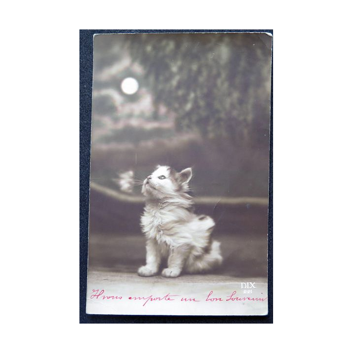 Carte postale de 1917