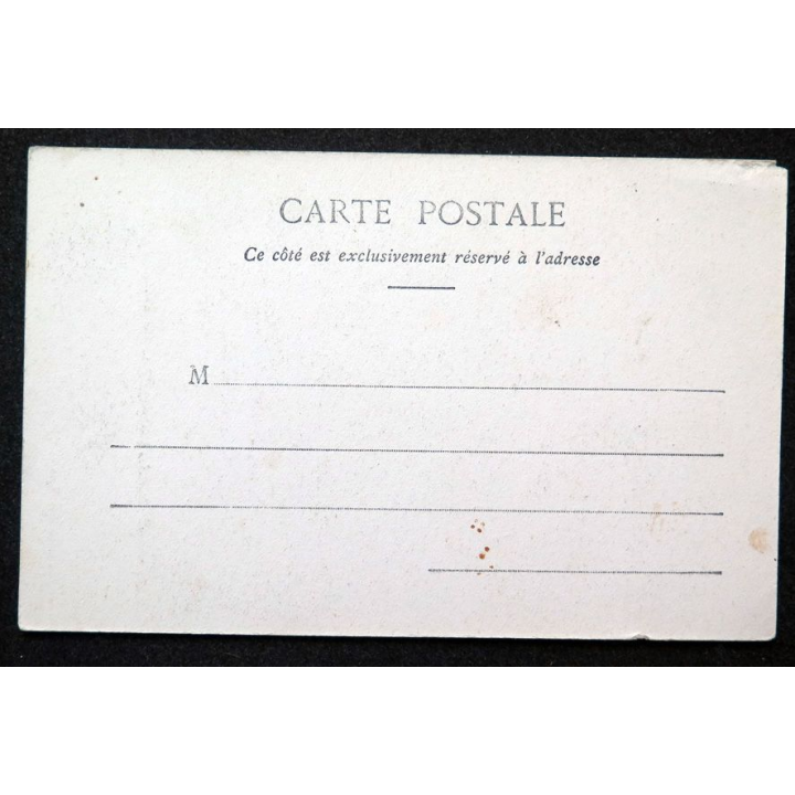Carte postale Monte Carlo n° 524 Le théâtre entre les Palmiers