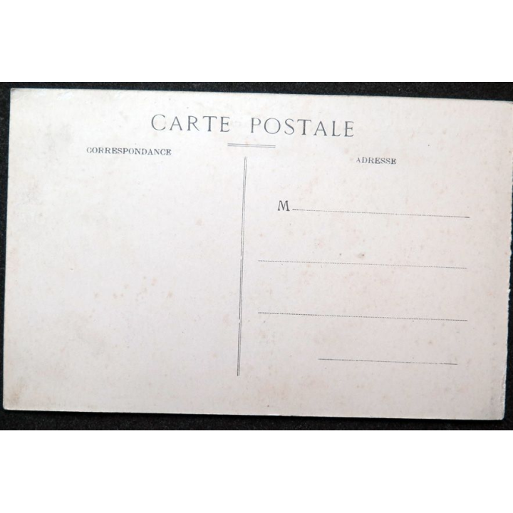Carte postale Grenoble n° 9 Le Pont suspendu et les forts