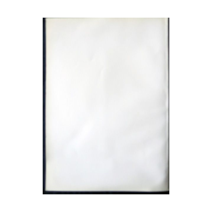 Revue de la société des amis du Musée de l'Armée N° 111 - juin 1996