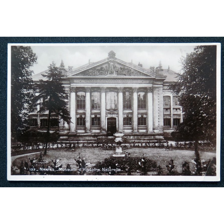 Carte postale Nantes n° 133 Museum d'histoire naturelle 1933