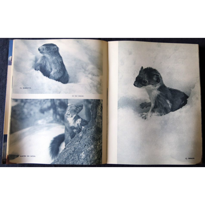 Cimes et merveilles 66 photos N&B, 23 couleurs de Samivelt aux Editions Arthaud