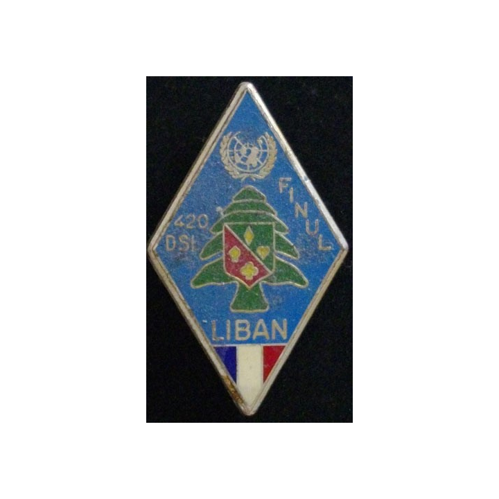 14° DI 420° DSL : 14° DIVISION D'INFANTERIE 10° MANDAT