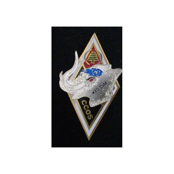 1° RG : 1° RÉGIMENT DU GÉNIE CCOS 420°DIM N°08