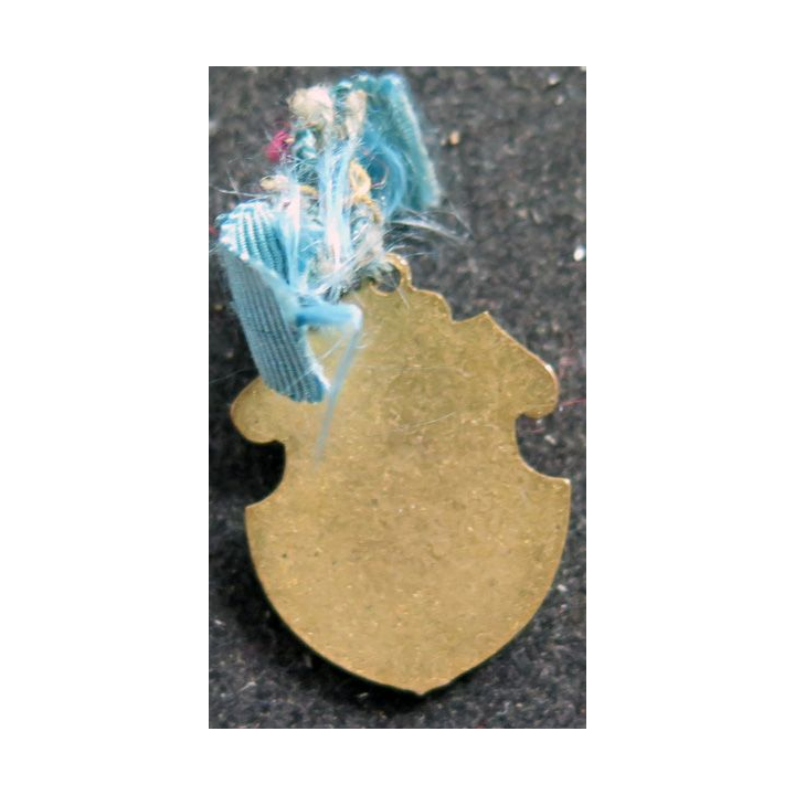 Insigne émaillé de commissaire hauteur 2,5 cm