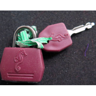 Petit cadenas hippocampe