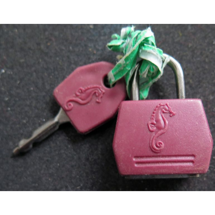 Petit cadenas hippocampe