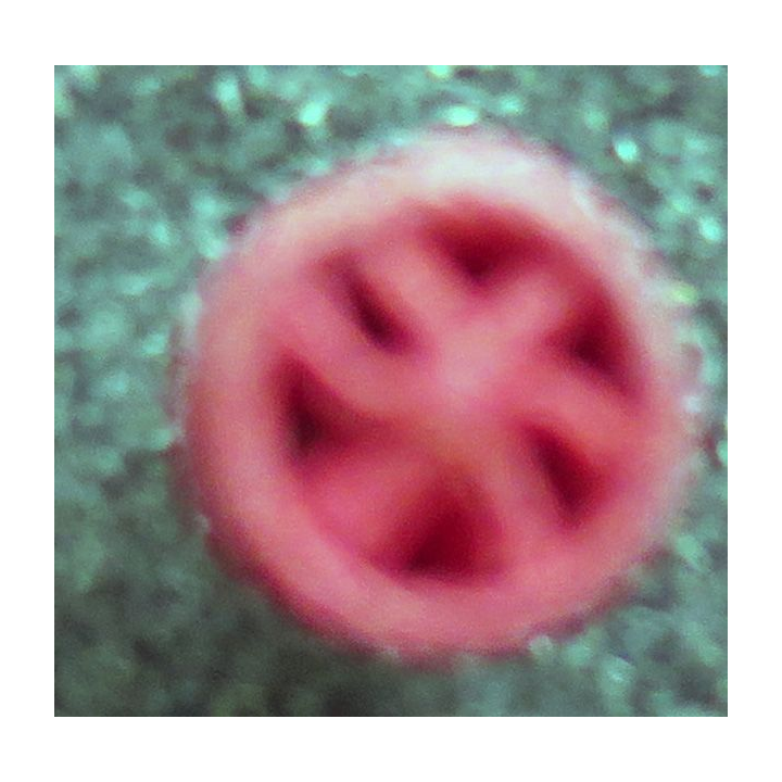 Petite rosette de boutonnière d'Officier de l'Ordre de la Légion d'Honneur