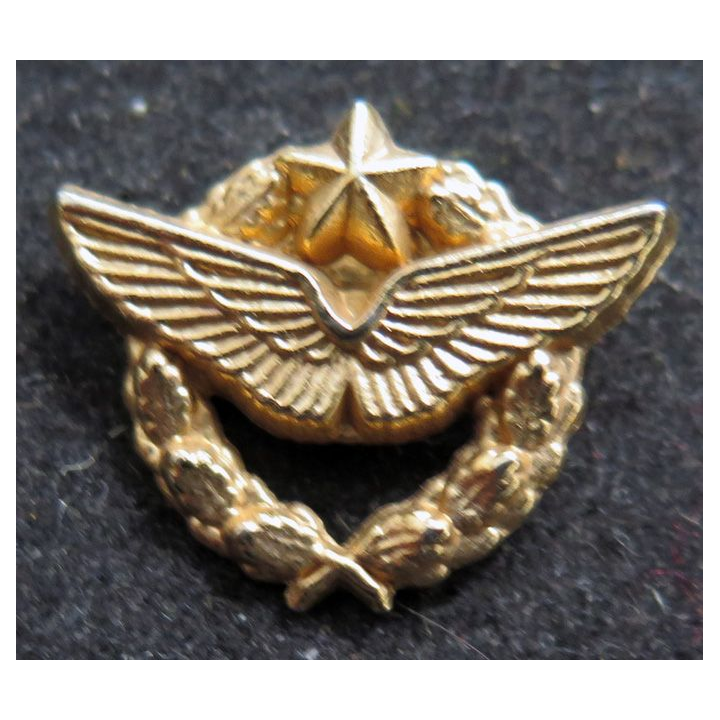 pin's brevet pilote armée de l'Air 22X18 mm doré à l'or fin