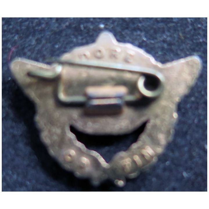 pin's brevet pilote armée de l'Air 22X18 mm doré à l'or fin