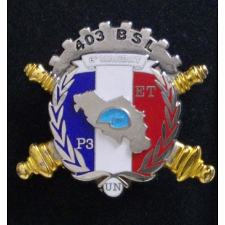 403° BSL : 403° BATAILLON DE SOUTIEN LOGISTIQUE P3 ET 8° MANDAT