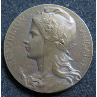 Médaille en bronze de la Ligue des Droits de l'Homme Section de Melun 1905