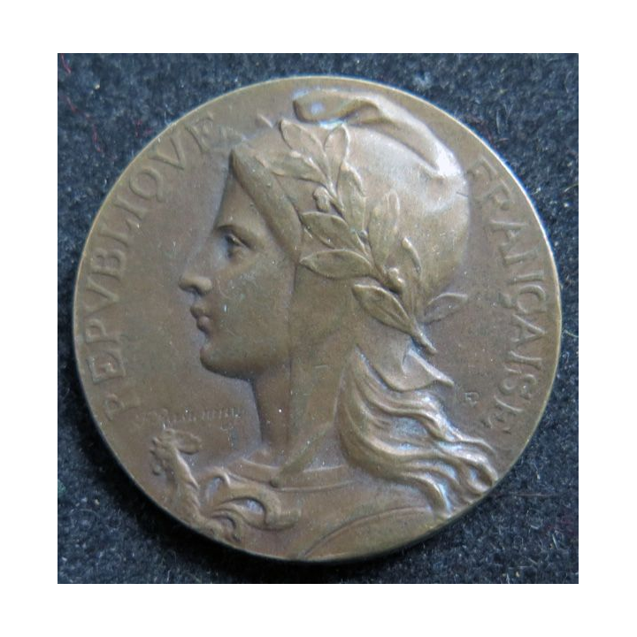 Médaille en bronze de la Ligue des Droits de l'Homme Section de Melun 1905