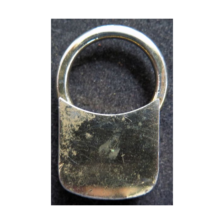 Porte clefs Royal Air Force
