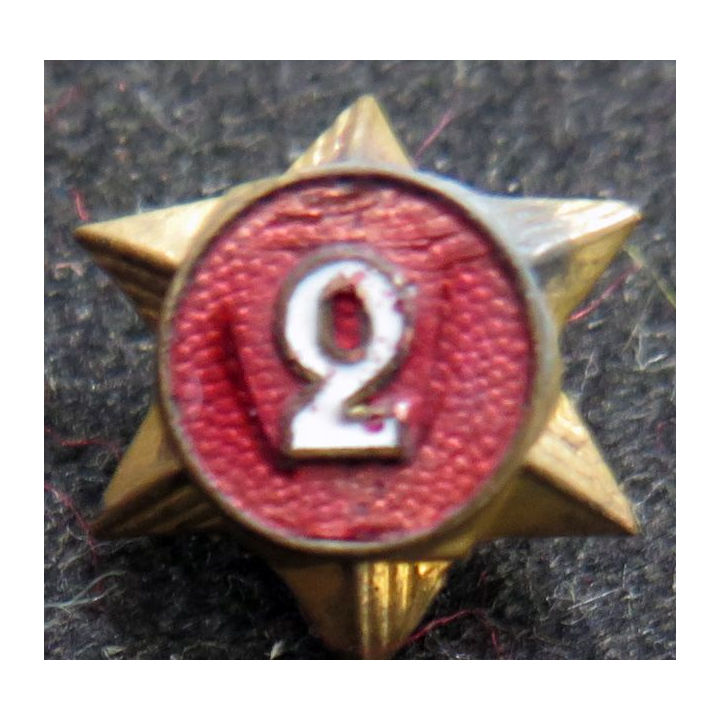 insigne étoile d'ancienneté scout 2 ans anneau au dos