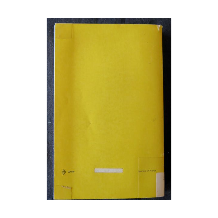 Journal de la campagne du Sinaï du Général Moshé Dayan aux Editions Fayard