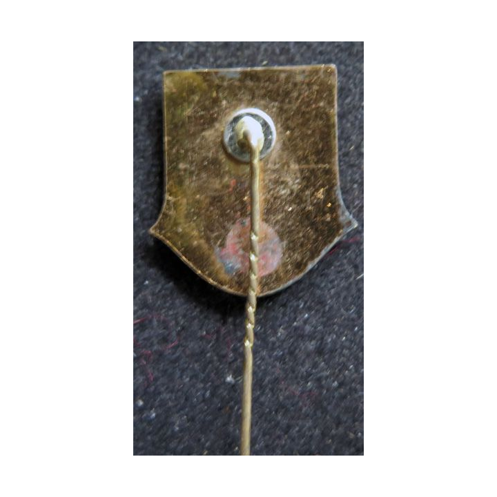 épinglette INTERKLUB fond vert 2,2 cm de hauteur de l'écu