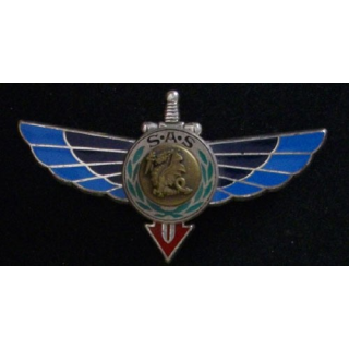 1° RPIMA : 1° RÉGIMENT PARA D'INF DE MARINE RAPAS CENTRE BRONZE
