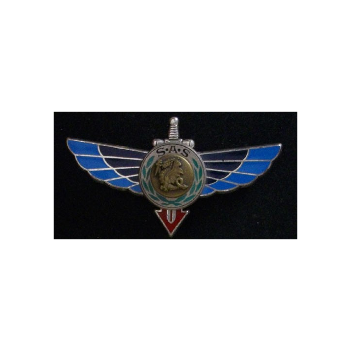 1° RPIMA : 1° RÉGIMENT PARA D'INF DE MARINE RAPAS CENTRE BRONZE