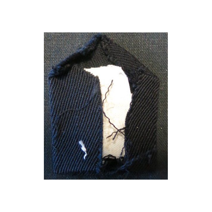 PATTE DE COL : officier de la coloniale ou des troupes de Marine en cannetille
