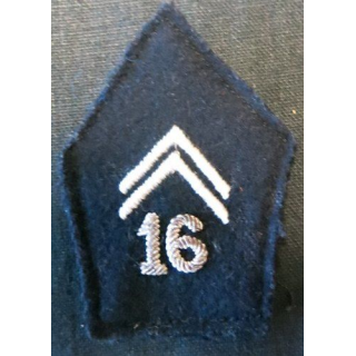PATTE DE COL : officier du 16° régiment de dragons chiffre en cannetille