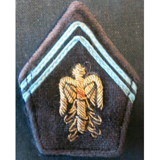 PATTE DE COL : officier d'état major en cannetille soutaches bleuess