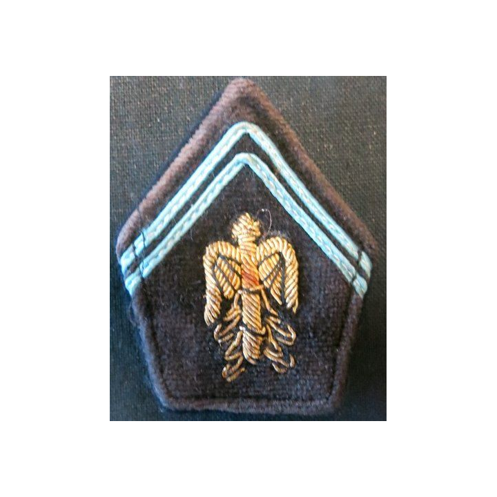 PATTE DE COL : officier d'état major en cannetille soutaches bleuess