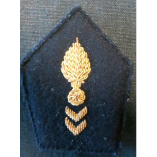 PATTE DE COL : officier du corps technique et administratif en cannetille