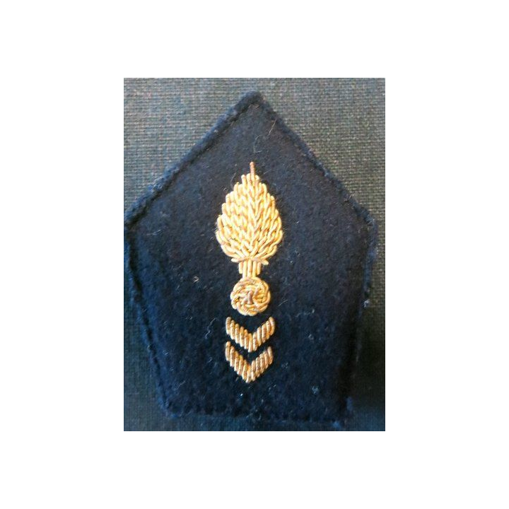PATTE DE COL : officier du corps technique et administratif en cannetille