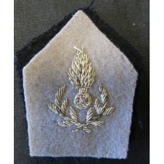 PATTE DE COL : officier de l'Intendance en cannetille argent