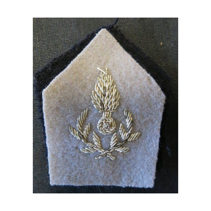 PATTE DE COL : officier de l'Intendance en cannetille argent