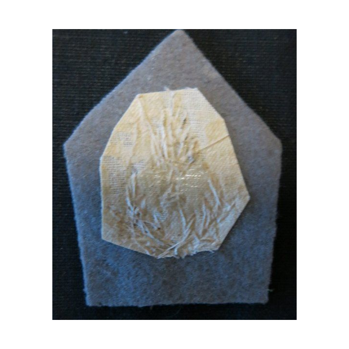 PATTE DE COL : officier de l'Intendance en cannetille argent