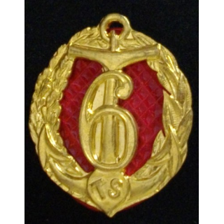 Amicale du 6° régiment de tirailleurs sénégalais RTS peint