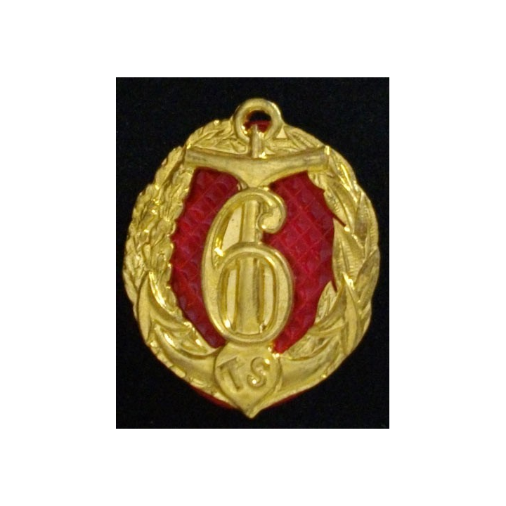 Amicale du 6° régiment de tirailleurs sénégalais RTS peint
